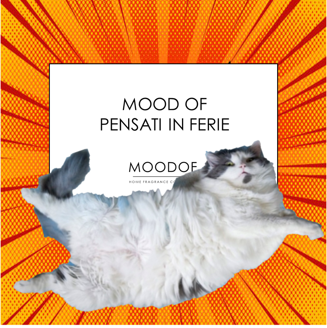 MOODOF PENSATI IN FERIE